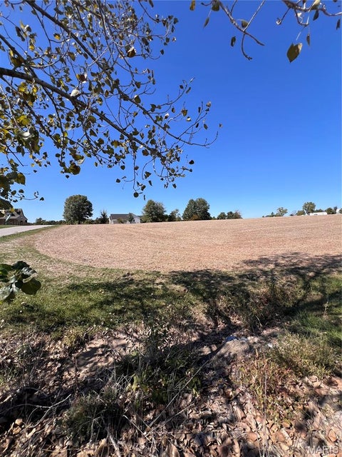 Tiny photo for 141 Michaelangelo Dr DR, Moscow Mills, MO 63362 (MLS # 26064617)