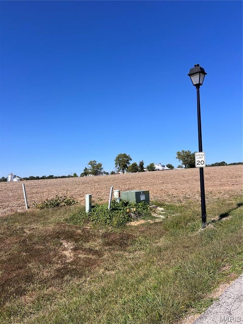 Tiny photo for 141 Michaelangelo Dr DR, Moscow Mills, MO 63362 (MLS # 26064617)