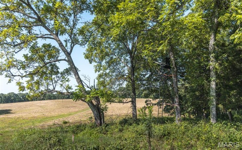 Tiny photo for 6 Private Drive 2336, Norwood, MO 65717 (MLS # 26047294)