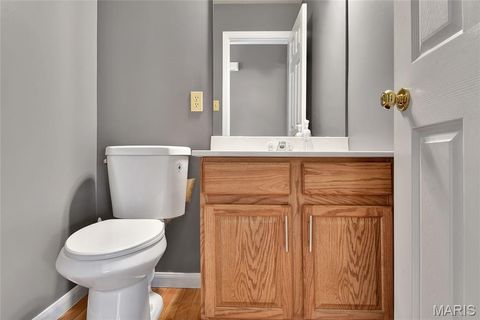 Tiny photo for 16939 Hickory Forest Lane, Wildwood, MO 63011 (MLS # 25078010)