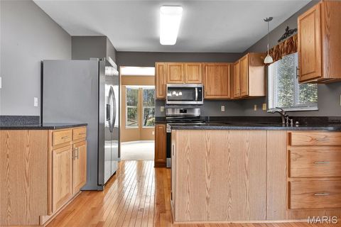 Tiny photo for 16939 Hickory Forest Lane, Wildwood, MO 63011 (MLS # 25078010)