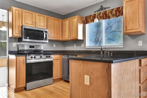 Tiny photo for 16939 Hickory Forest Lane, Wildwood, MO 63011 (MLS # 25078010)