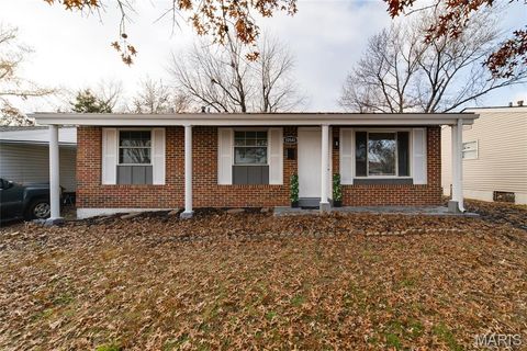Photo of 10541 Castle Drive, St Louis, MO 63136 (MLS # 25079607)
