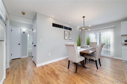 Tiny photo for 10541 Castle Drive, St Louis, MO 63136 (MLS # 25079607)