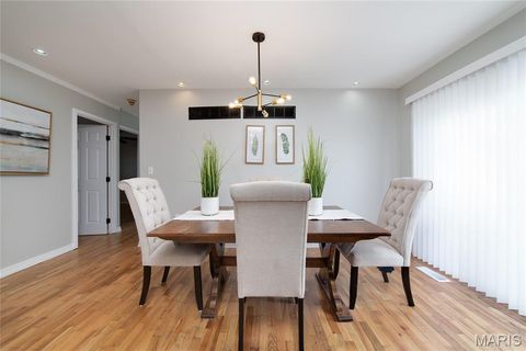 Tiny photo for 10541 Castle Drive, St Louis, MO 63136 (MLS # 25079607)