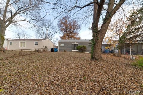 Tiny photo for 10541 Castle Drive, St Louis, MO 63136 (MLS # 25079607)