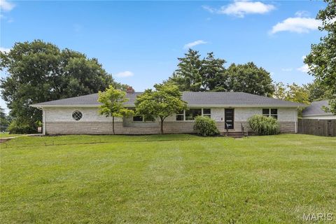 Photo of 504 Wren Avenue, Manchester, MO 63021 (MLS # 26045430)