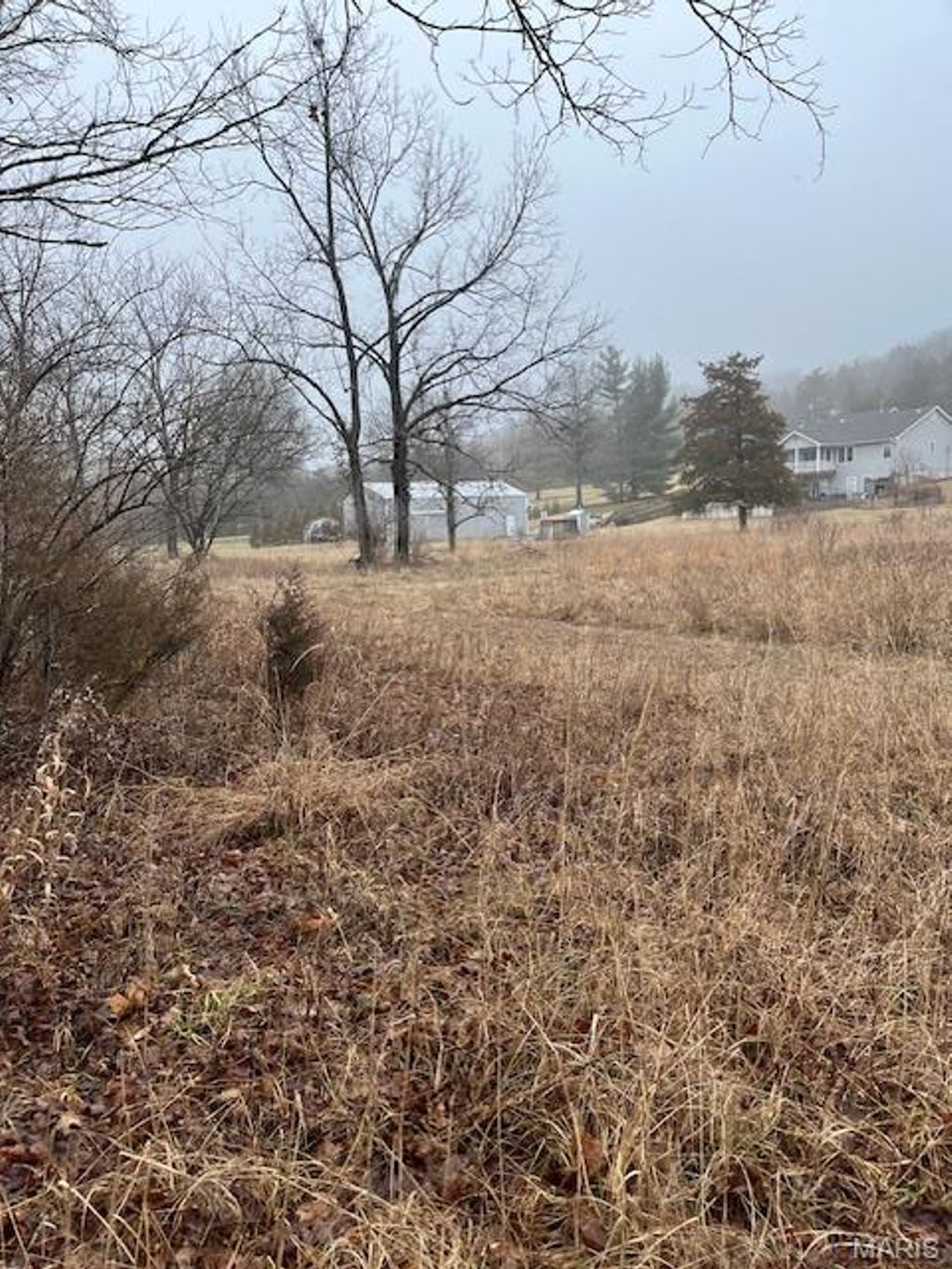 Photo of 10131 State Road Bb, Hillsboro, MO 63050 (MLS # 26020870)