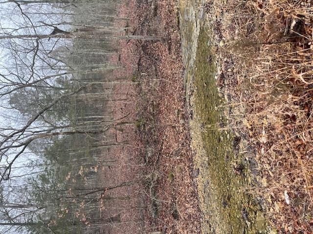 Country Aire Estates - Land