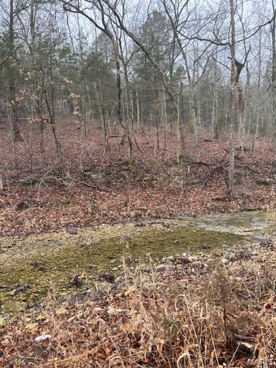 Imagine your custom-built dream house on 2-acres of land that backs to a peaceful creek and dense woods! Imagine your barn or out-building for your hobby farm or tinkering. The possibilities are endless! This property is in the Hillsboro School District. Public sewer already in place - it runs across the back of the property. Public water and electric runs across the front of the property. Land is mostly cleared and flat and ready! The hard work and expense is already taken care of. Great location away from the hustle and bustle of the city but still close enough that you won't have to go too far for highways, restaurants and shopping. Current owners have invested over $5,000.00 adding the gravel driveway and parking. Great neighbors, too! Drive-by today and picture yourself living the life you have been dreaming about!