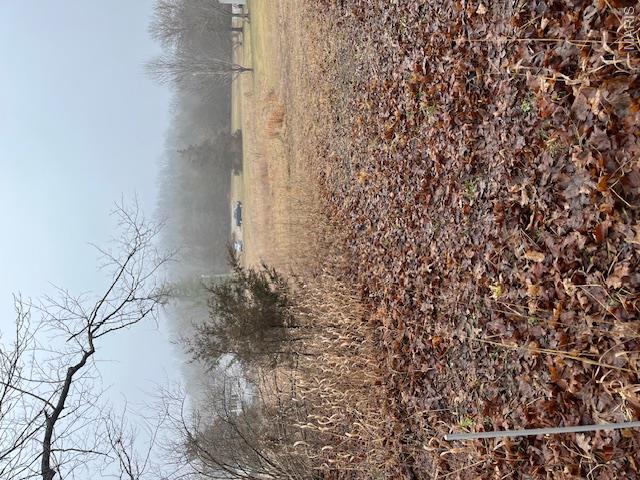 Country Aire Estates - Land