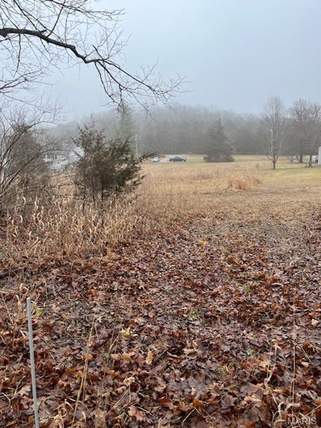 Photo of 10131 State Road Bb, Hillsboro, MO 63050 (MLS # 26020870)