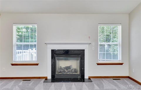 Tiny photo for 25 Spanish Oak Court, Troy, MO 63379 (MLS # 26048319)