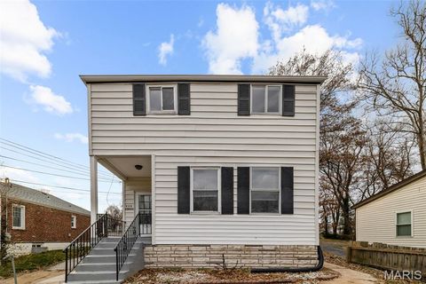 Photo of 725 Cornell Avenue, Webster Groves, MO 63119 (MLS # 26012590)