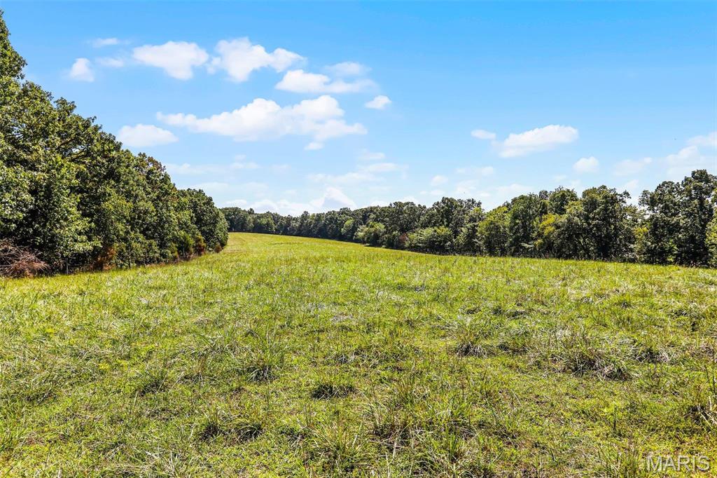 (31.46+/-Ac) Tract #4 Horstman Road