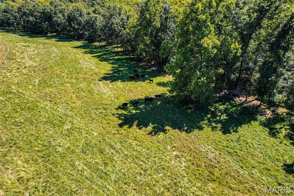 (31.46+/-Ac) Tract #4 Horstman Road