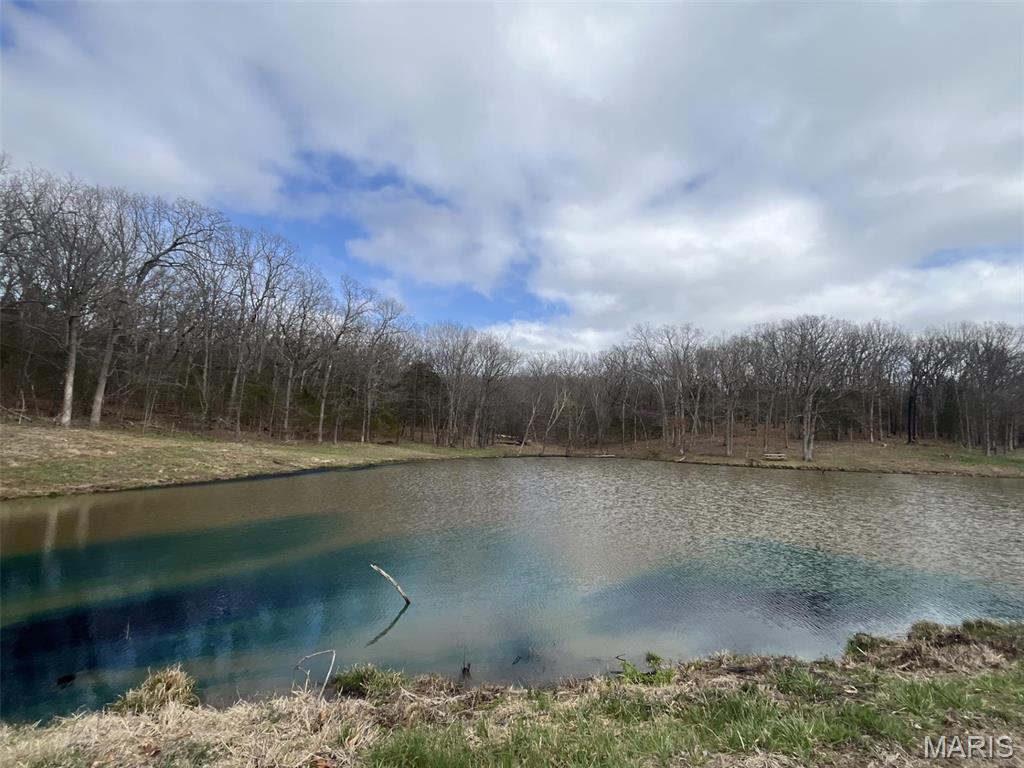 (31.46+/-Ac) Tract #4 Horstman Road