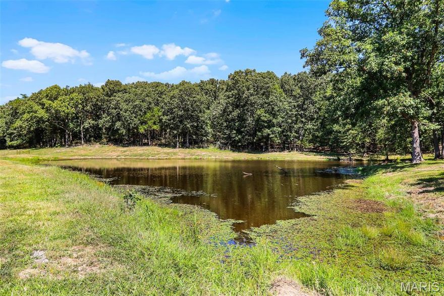 Escape to this gorgeous 31.46+/- Acre property, featuring gently rolling pasture, scattered timber, and a large, beautiful stocked POND that enhances the natural beauty. A lovely location to build your New Dream Home! Various uses include equestrian activities, cattle farming, hunting, fishing, and other recreations etc. Plenty of pasture for grazing and riding. Enjoy the beauty of nature, abundant of wildlife, and the peaceful serenity of country living. Located near Stony Hill and just a short drive from the charming Hermann and local wineries. No restrictions. Must See! Agent/buyer: Verify the School District.