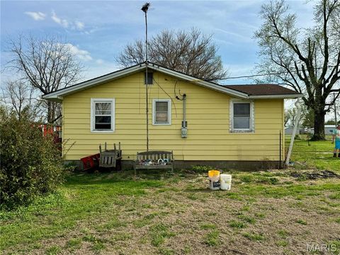 Tiny photo for 20923 Pike 307, Bowling Green, MO 63334 (MLS # 26019110)