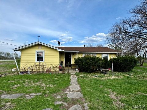 Photo of 20923 Pike 307, Bowling Green, MO 63334 (MLS # 26019110)