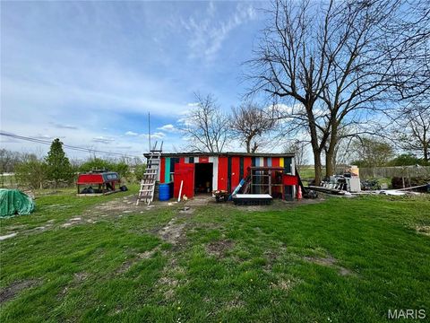 Tiny photo for 20923 Pike 307, Bowling Green, MO 63334 (MLS # 26019110)
