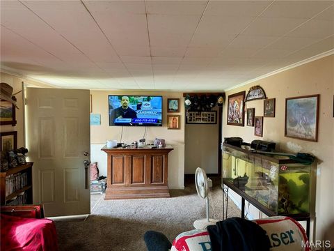 Tiny photo for 20923 Pike 307, Bowling Green, MO 63334 (MLS # 26019110)