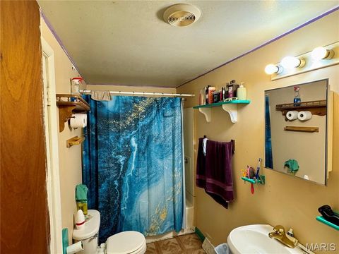 Tiny photo for 20923 Pike 307, Bowling Green, MO 63334 (MLS # 26019110)