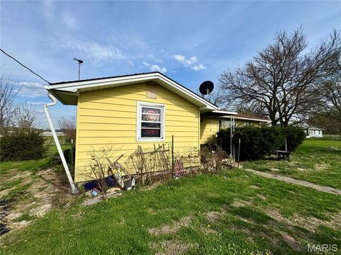 Tiny photo for 20923 Pike 307, Bowling Green, MO 63334 (MLS # 26019110)
