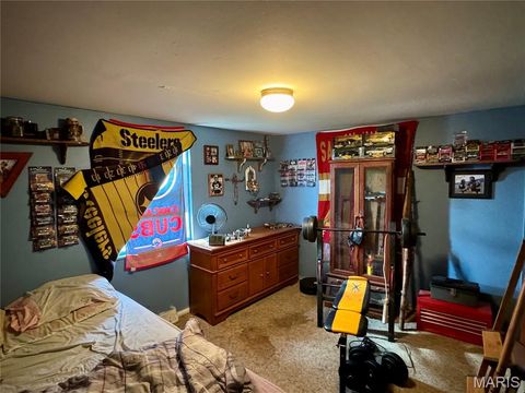 Tiny photo for 20923 Pike 307, Bowling Green, MO 63334 (MLS # 26019110)