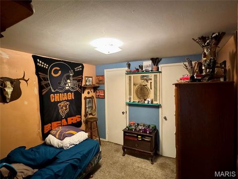 Tiny photo for 20923 Pike 307, Bowling Green, MO 63334 (MLS # 26019110)