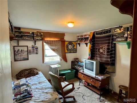 Tiny photo for 20923 Pike 307, Bowling Green, MO 63334 (MLS # 26019110)