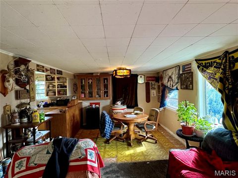 Tiny photo for 20923 Pike 307, Bowling Green, MO 63334 (MLS # 26019110)