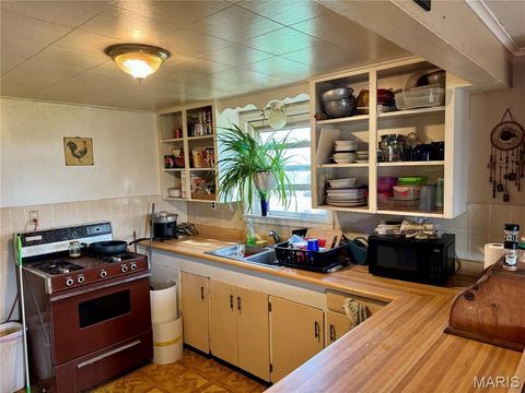 Tiny photo for 20923 Pike 307, Bowling Green, MO 63334 (MLS # 26019110)