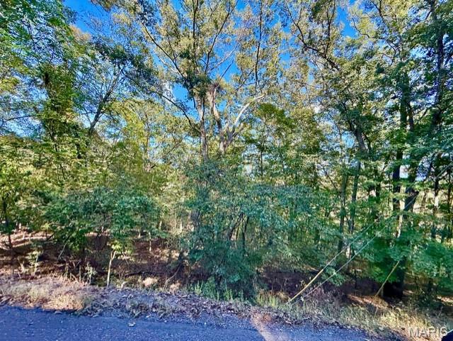 Lake Sherwood Estates - Land