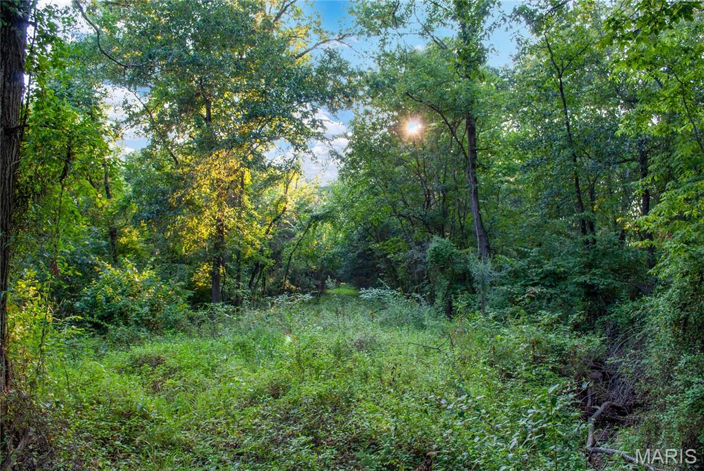 Warrenton, Missouri 63383, United States, ,Land,Active,168410