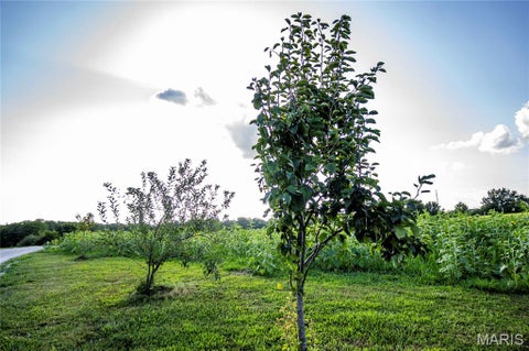 Tiny photo for 18900 Monroe Road 451, Paris, MO 65275 (MLS # 26045509)