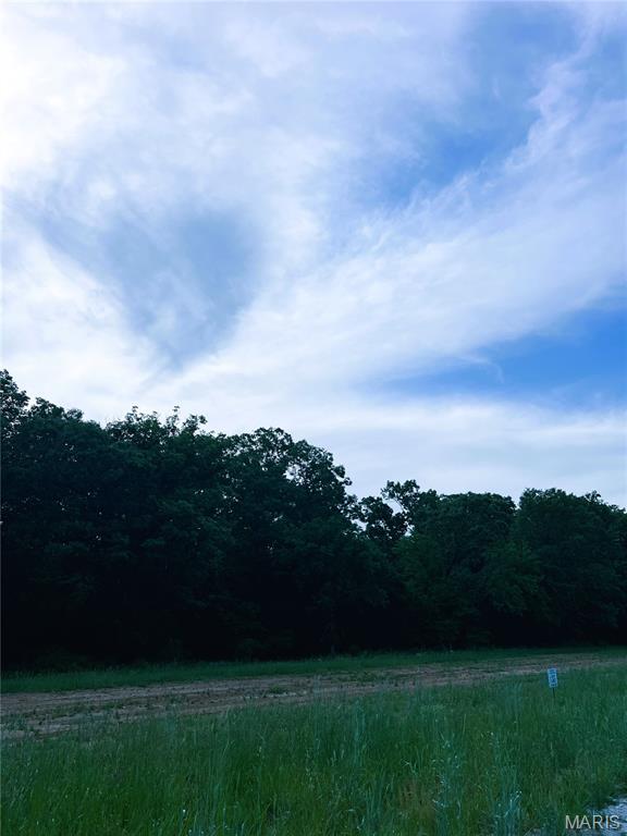 The Grove at Holt Farms - Land