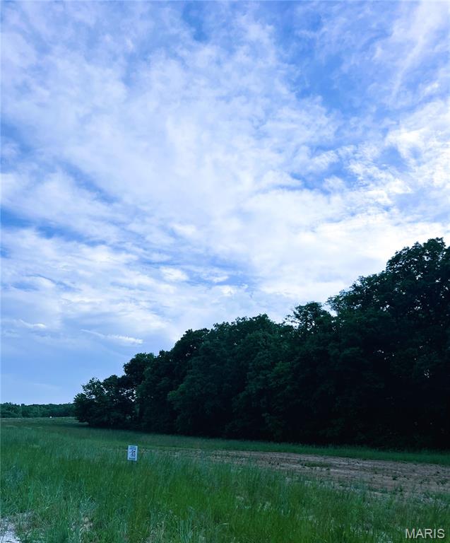 The Grove at Holt Farms - Land