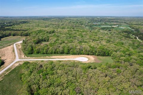 Tiny photo for 35 HOLT ACRES Court, Wentzville, MO 63385 (MLS # 26030624)