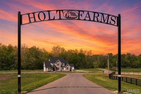 Photo of 35 HOLT ACRES Court, Wentzville, MO 63385 (MLS # 26030624)