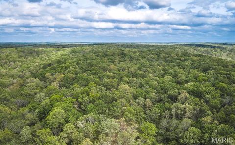 Tiny photo for 15310 County Road 7250, Newburg, MO 65550 (MLS # 26026275)