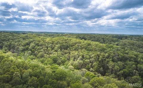Tiny photo for 15310 County Road 7250, Newburg, MO 65550 (MLS # 26026275)