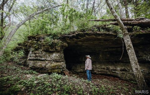 Tiny photo for 15310 County Road 7250, Newburg, MO 65550 (MLS # 26026275)