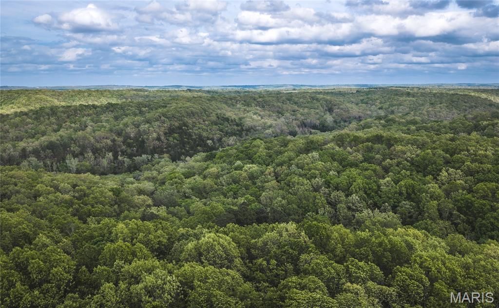 Photo of 15310 County Road 7250, Newburg, MO 65550 (MLS # 26026275)