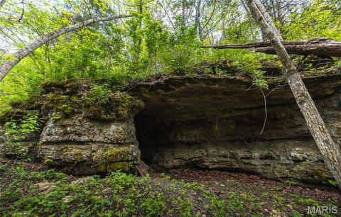 Tiny photo for 15310 County Road 7250, Newburg, MO 65550 (MLS # 26026275)