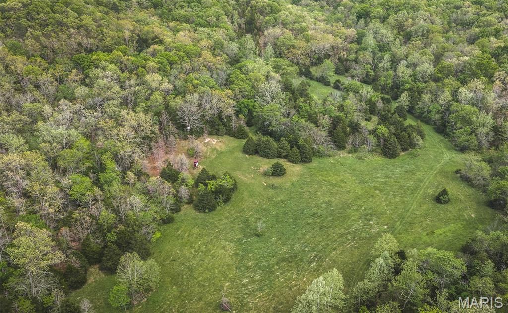 Photo of 15310 County Road 7250, Newburg, MO 65550 (MLS # 26026275)