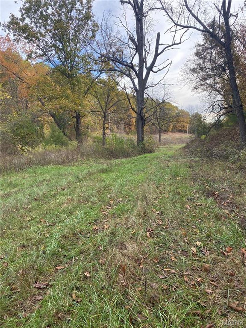 Photo of 0 Republic Road, Waynesville, MO 65583 (MLS # 25073713)