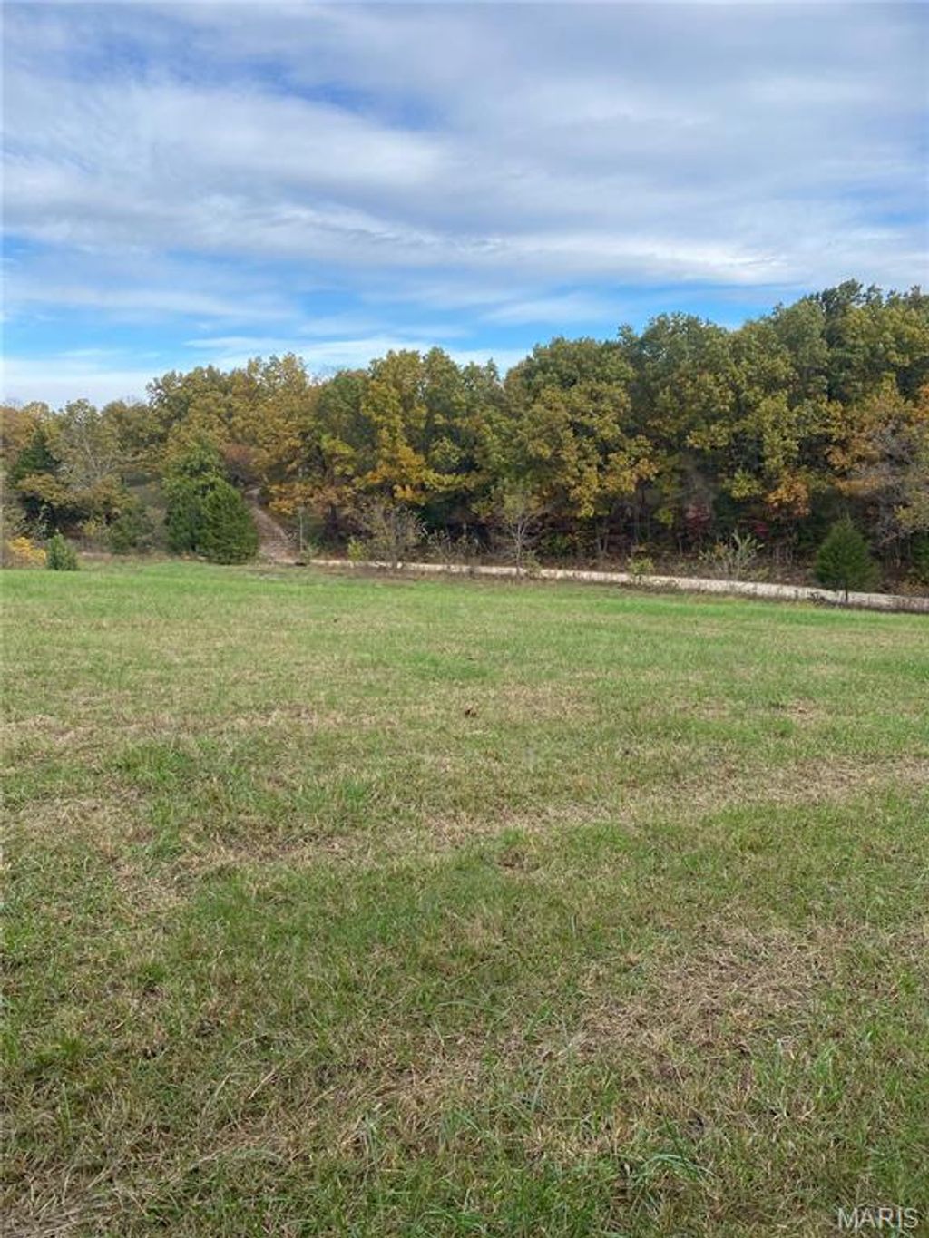 Photo of 0 Republic Road, Waynesville, MO 65583 (MLS # 25073713)