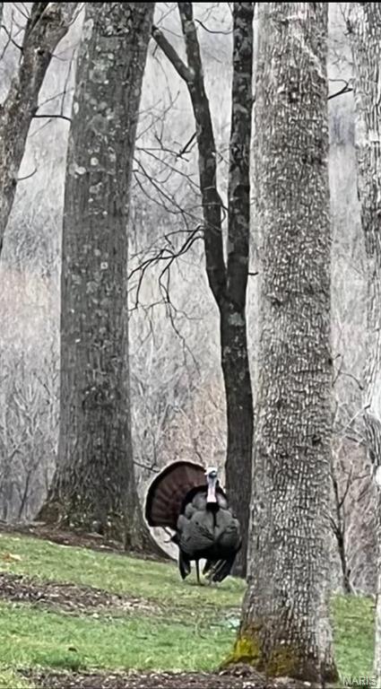 Clermont Estates - Residential