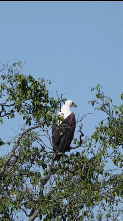 Clermont Estates - Residential